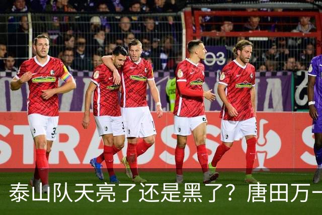 泰山队天亮了还是黑了？唐田万一赢了海港呢！陈蒲致歉，球迷并不买账