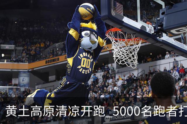 黄土高原清凉开跑 5000名跑者打卡宁夏彭阳梯田半马