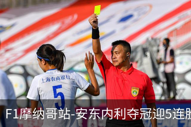 F1摩纳哥站-安东内利夺冠迎5连胜 维斯塔潘诺里斯乐扣退赛